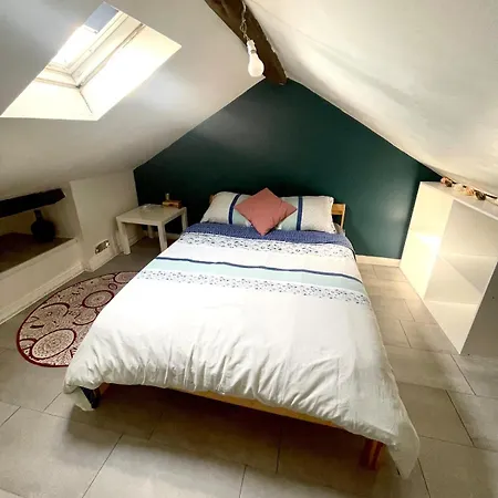 Fonctionnel Doutre Appartement Angers