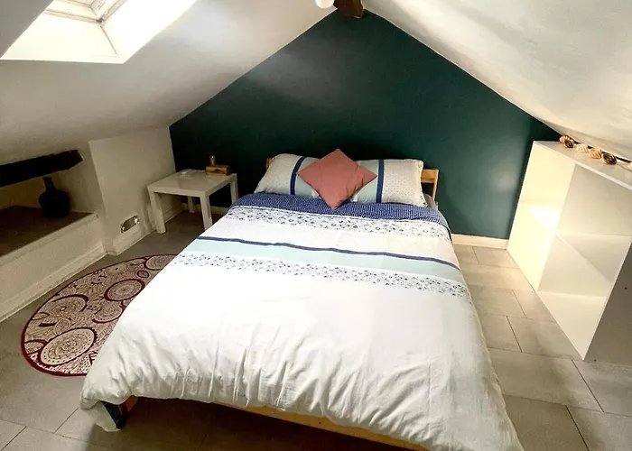 Fonctionnel Doutre Apartamento Angers